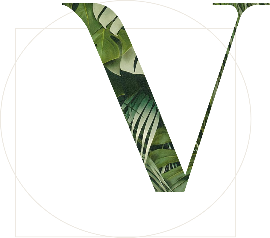 Logo Vitruve